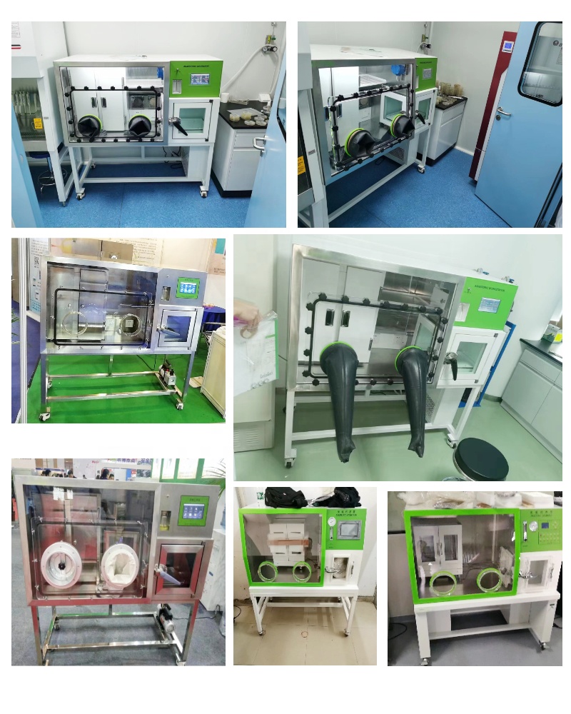 WEIAI Anaerobic Workstation LA - Incubator Co2 Lab review and price