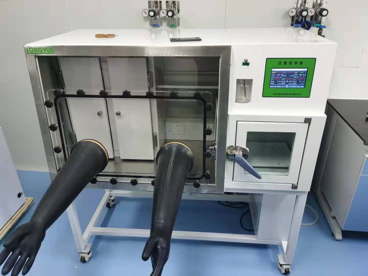 WEIAI Anaerobic Workstation LA - Incubator Co2 Lab review and price