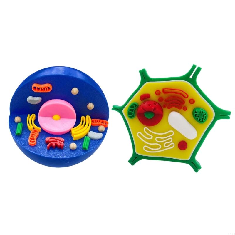 Professional Animal Plant Cell - Medical Lab Study review and price